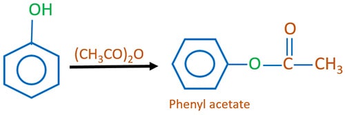 Phenol and acid anhydride reaction